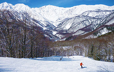 岩岳スノーフィールド