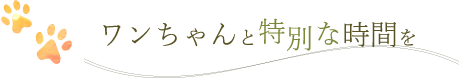 ワンちゃんと特別な時間を