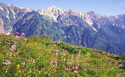 Hakuba Sanzan