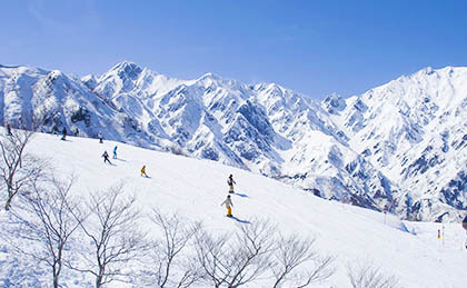 Hakuba47 Winter Sports Park